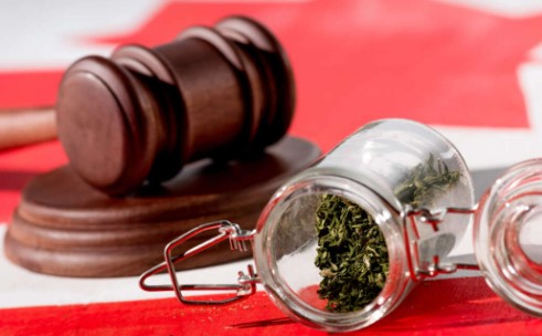 Buy Marijuana seeds to grow