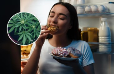 cadillac purple appetite