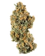 cannabis seeds ideal for small indoor spaces ll