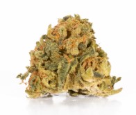 cannabis seeds that thrive in hot climates ak