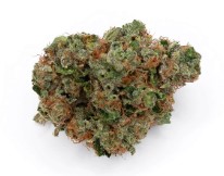 cannabis seeds that thrive in texas heat d