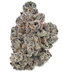 cannabis seeds that thrive in texas heat f