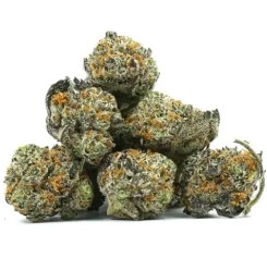 cannabis seeds with the best terpene profiles blue