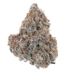 cannabis seeds with the best terpene profiles f