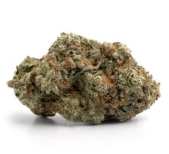 cannabis seeds with the best terpene profiles sd