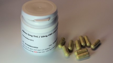 cannabis seeds with the highest thc content h