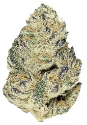 cannabis seeds with the highest yields in 2025 aa