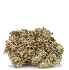 cannabis seeds with the highest yields in 2025 g