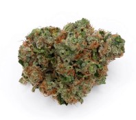 cannabis seeds with the most customer reviews e