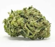 cannabis seeds with the most customer reviews g