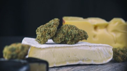 cannabis seeds with unique flavor profiles f