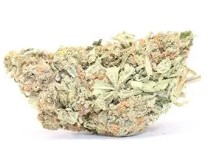 cannabis strains that do well in the pacific northwest j