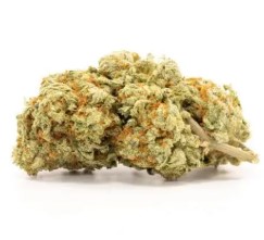 cannabis strains that help with anxiety and stress d