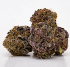 cannabis strains that help with anxiety and stress f