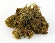 cannabis strains that help with anxiety and stress l