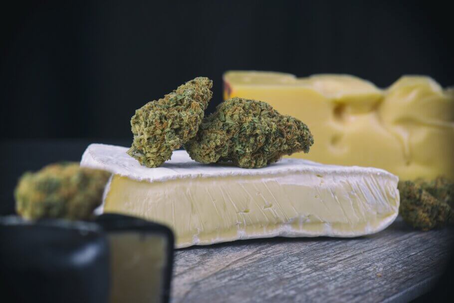 CHEESE STRAINS