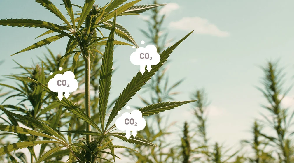 Methods of CO2 Enrichment