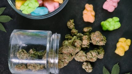 cascadia kush edibles