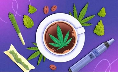 casey jones ingestion