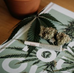 cbd fast eddy smoking