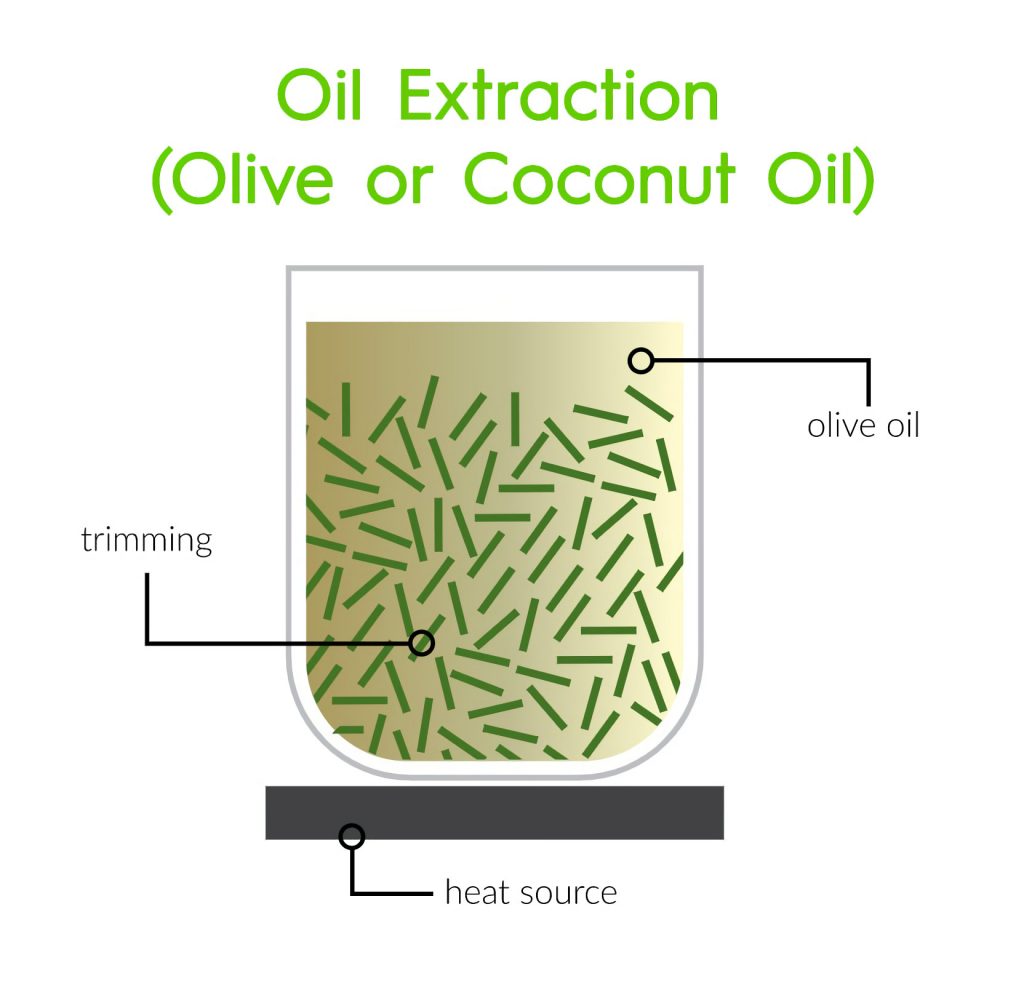 cbd oil extraction method olive coconut oil 1024x992 1