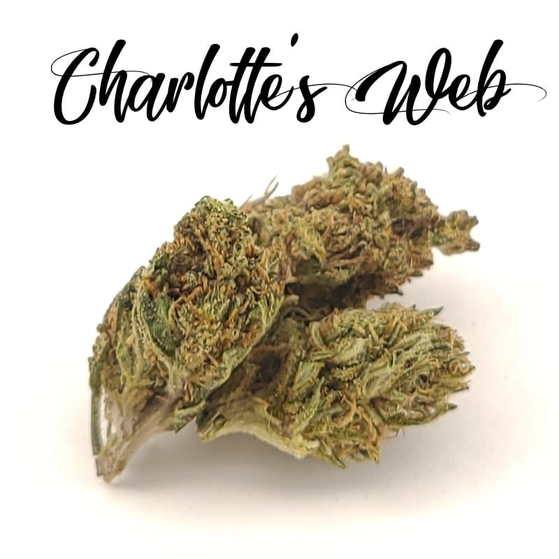 charlottes web hemp strain review 3