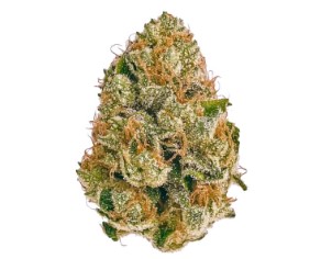 cheap cannabis seeds budget friendly picks gg