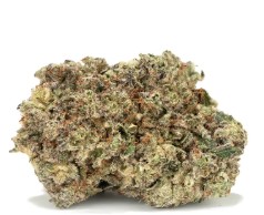 cheap cannabis seeds budget friendly picks ggg