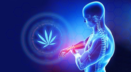 confidential wreck pain