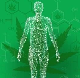 cookie breath effect