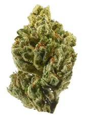 cult classic cannabis strains you can still buy g