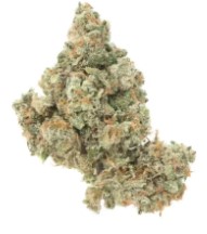 cult classic cannabis strains you can still buy h