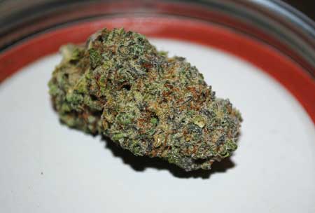 dense colorful marijuana bud sm