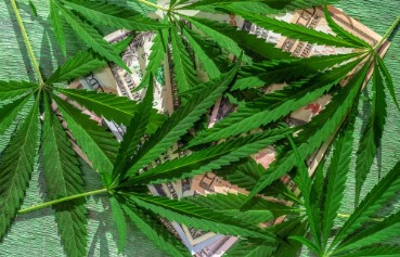 did marijuana law pass in florida cc