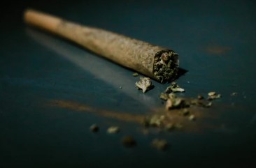 does marijuana have nicotine in it d