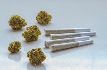 double purple doja smoking