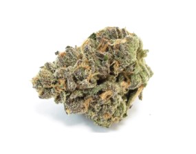 exotic marijuana seeds a b