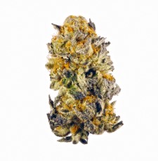 exotic marijuana seeds b p