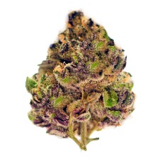exotic marijuana seeds c m