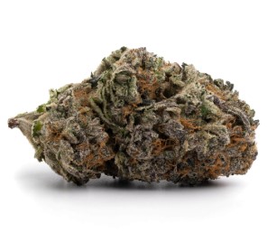 exotic marijuana seeds p m