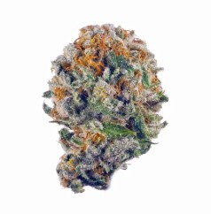 exotic marijuana seeds r b