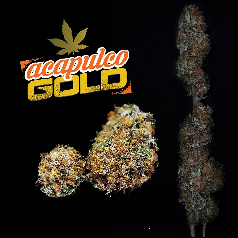 extraLarge 959db4f8 3695 48d2 b3b6 8ae129900d21