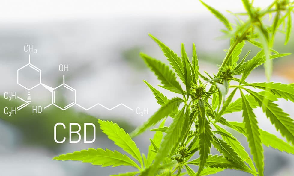 featureSCBD 980x588 1