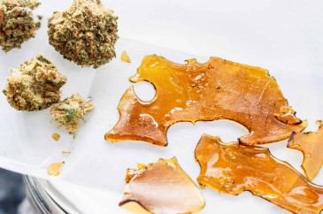 green poison concentrates