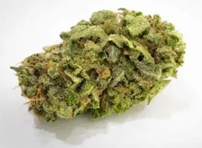 growing cannabis seeds in canada top strains f