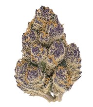 growing cannabis seeds in canada top strains h