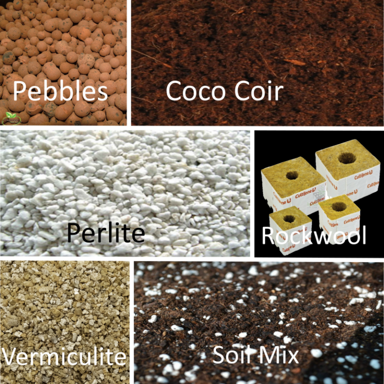 Types of Growing Mediums in Medical Cannabis Cultivation