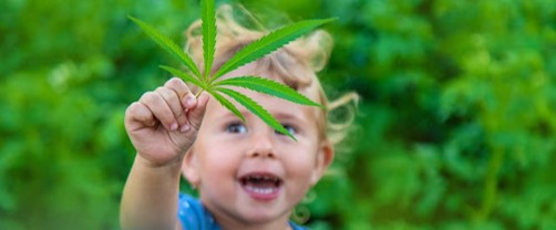 how do you get a medical marijuanas card c