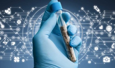 how do you get a medical marijuanas card in florida cc