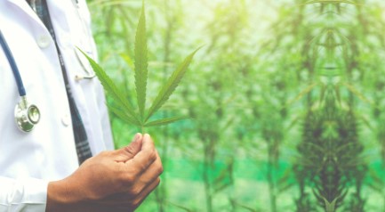 How do you get a medical marijuanas card in Florida